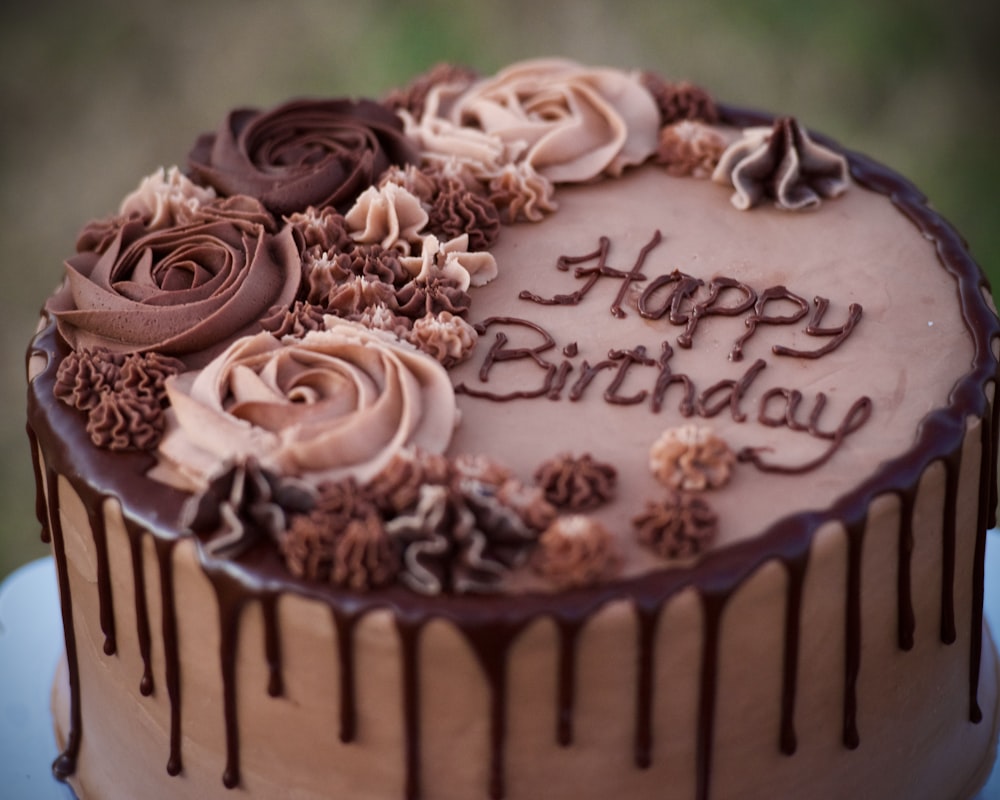 Chocolate cake slice